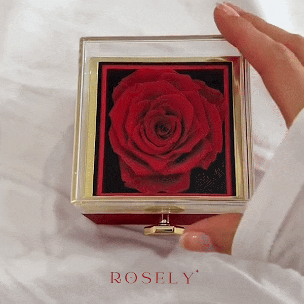 Rosely