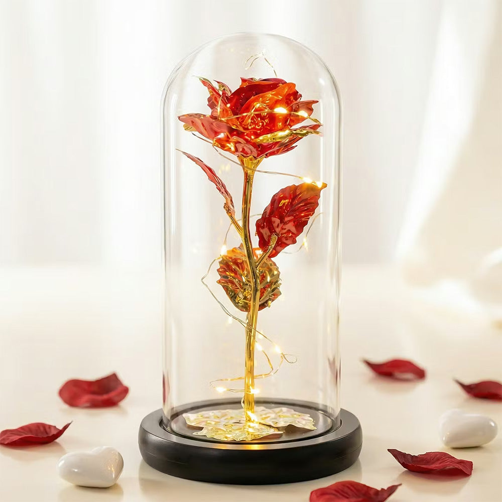 Róża w Szklanej Kopule