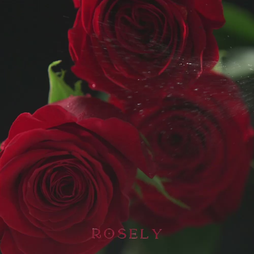 Załaduj wideo: Wieczna Róża Rosely + naszyjnik